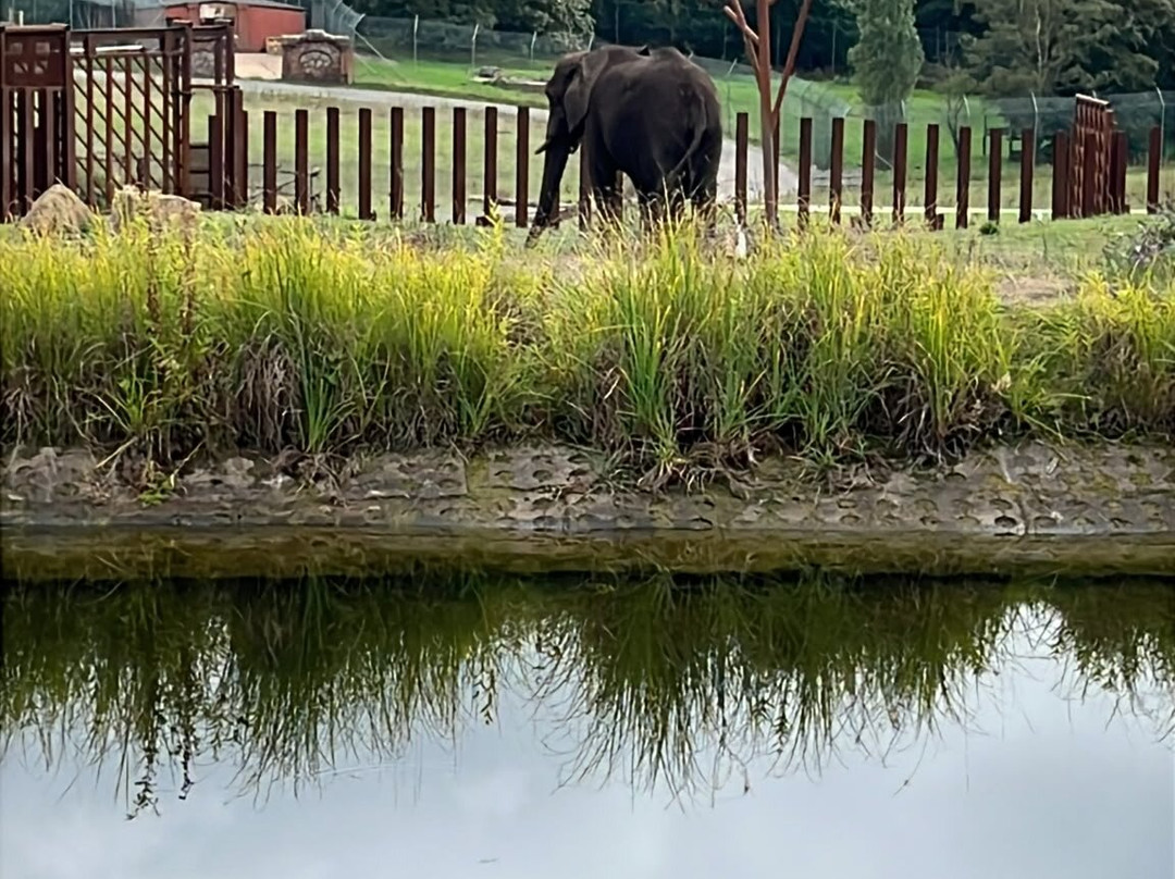 Safari Lodges At West Midlands Safari Park主图