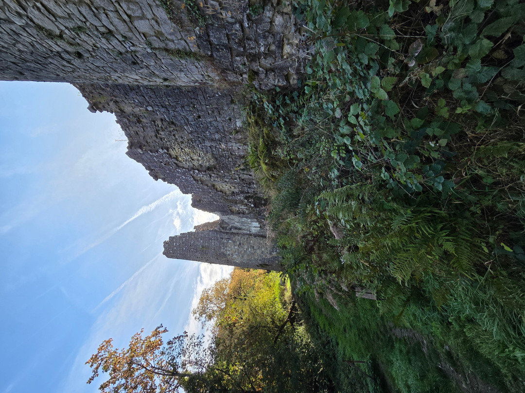 Les ruines du Chateau Fort de Montaigle-Falaen必去景点
