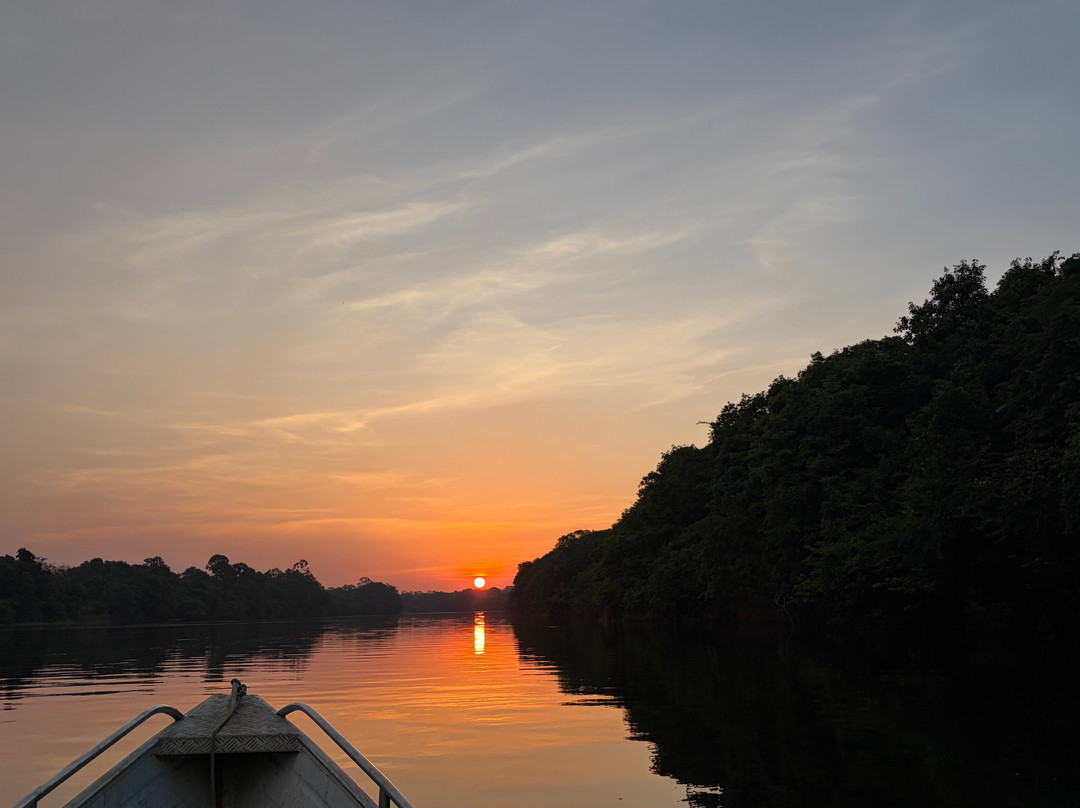 Amazon Antonio Jungle Tours-玛瑙斯必去景点