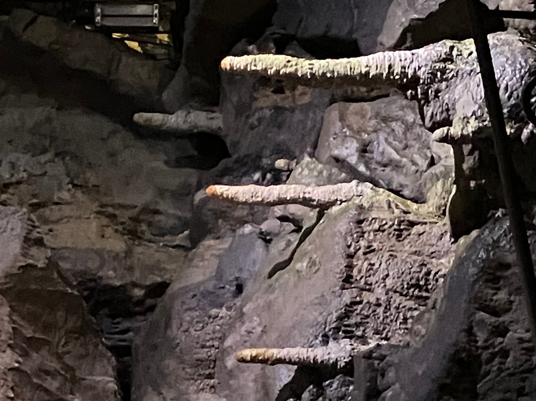 Poole's Cavern & Buxton Country Park-巴克斯顿必去景点