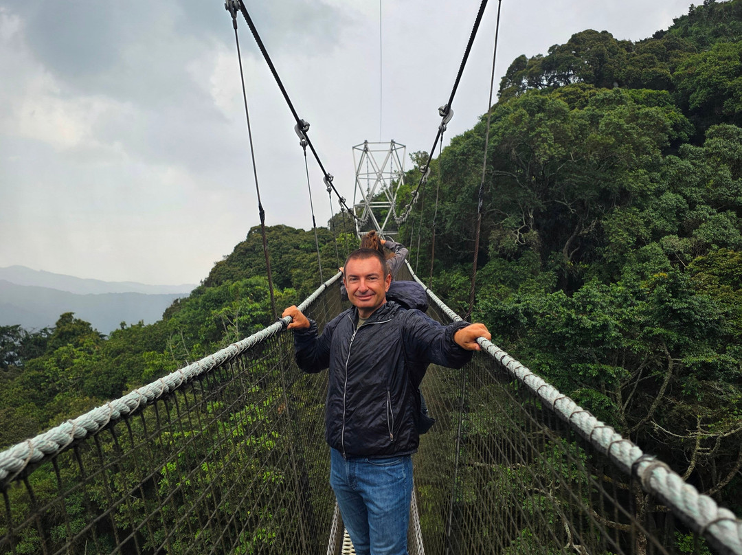 Nyungwe Canopy Walk-Butare必去景点