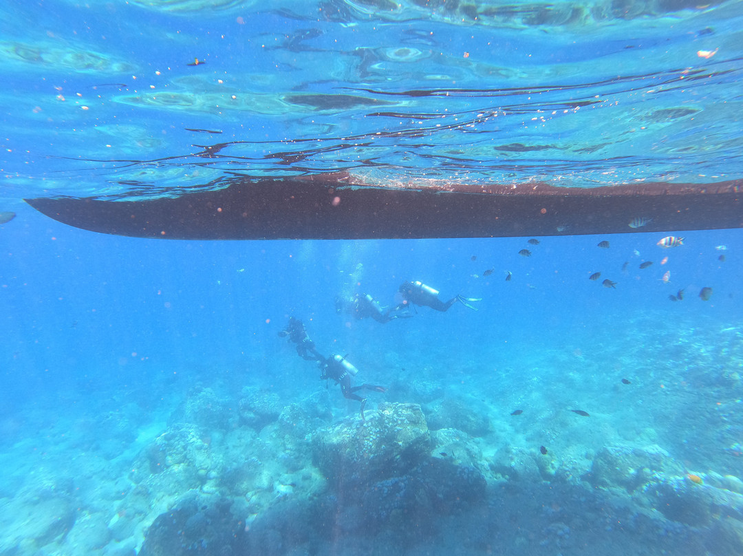 Just Diving-Bain Boeuf必去景点