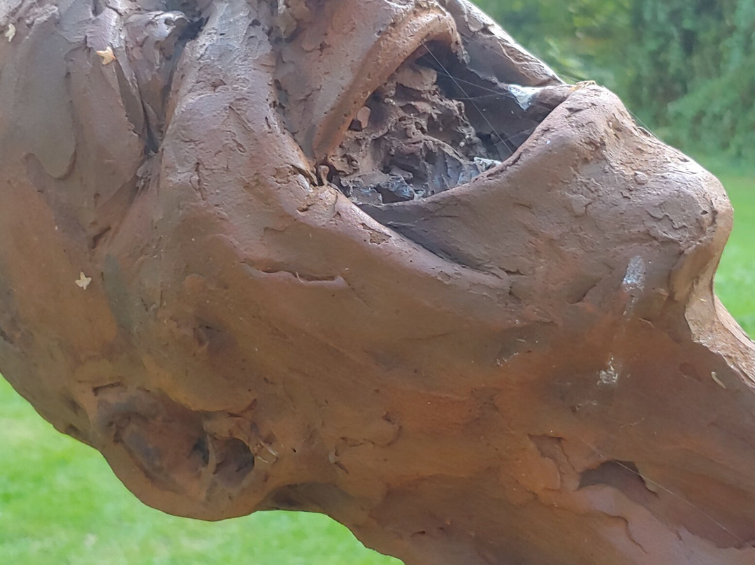 Cotswold Sculpture Park-Somerford Keynes必去景点