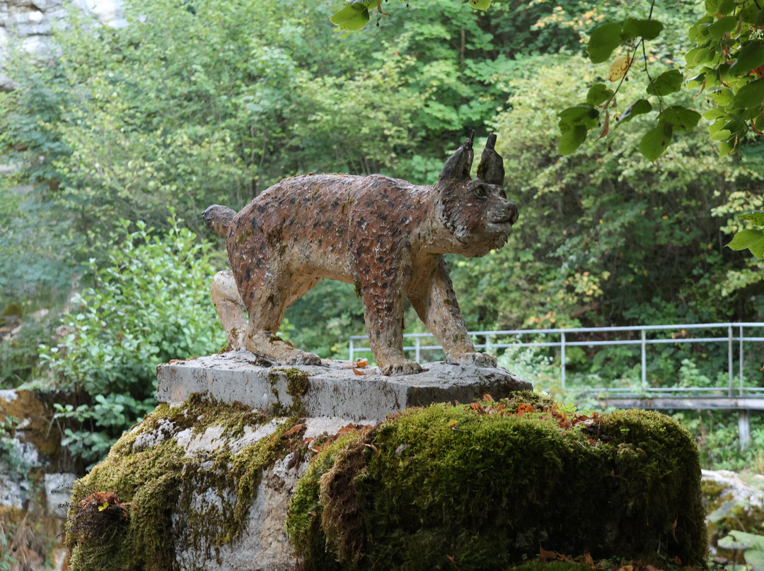 Les Cascades du Herisson-Menetrux-en-Joux必去景点