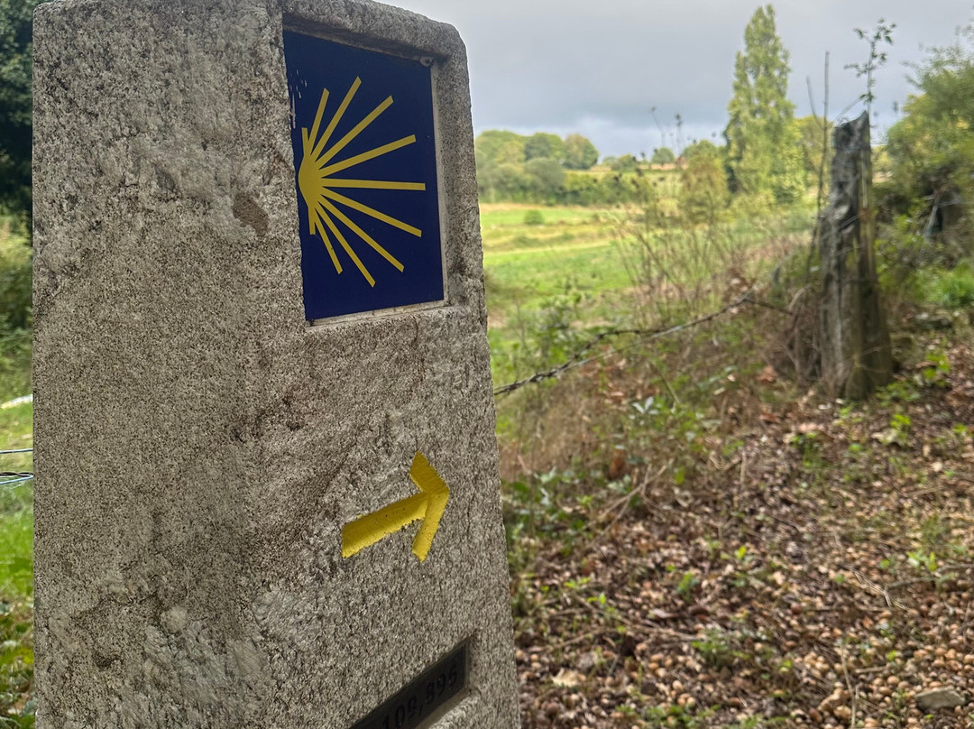 Tubuencamino-圣地亚哥德孔波斯特拉必去景点