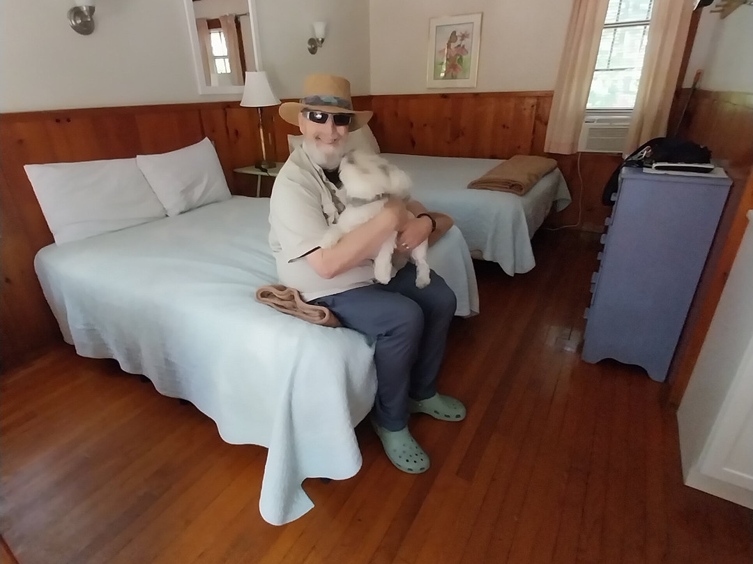 Maine Idyll Motor Court主图
