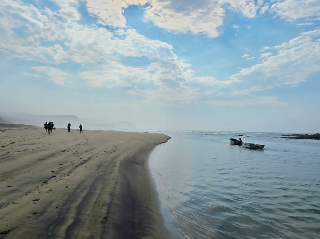The Wild Walk with Singletrack Adventures-Mbotyi必去景点