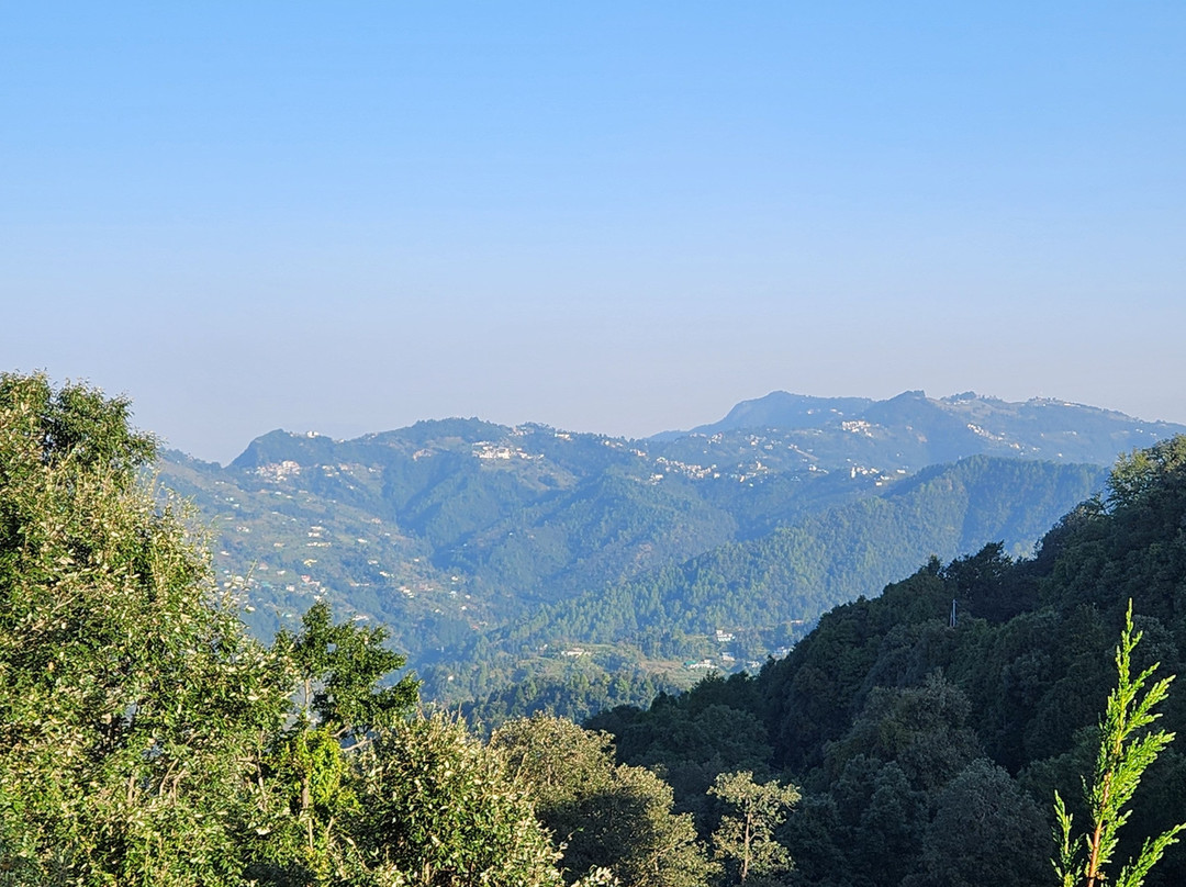 Te Aroha By Shervani主图