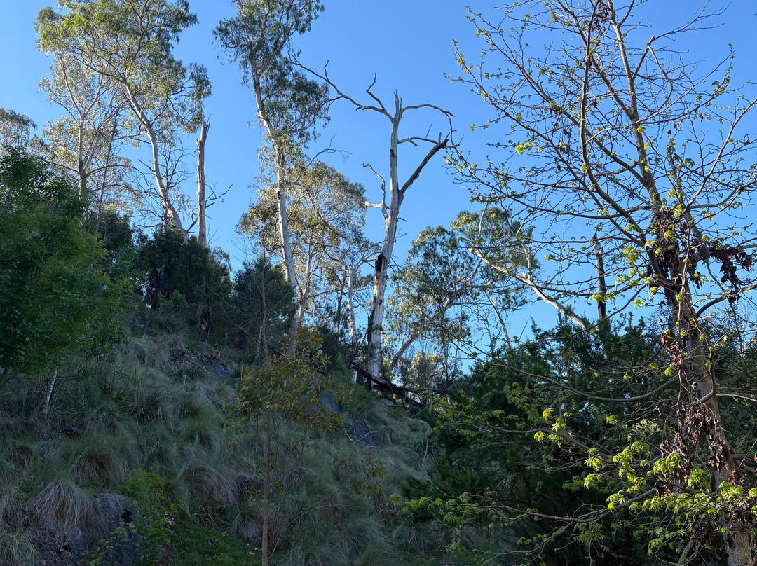 Buchan Caves Reserve-Buchan必去景点