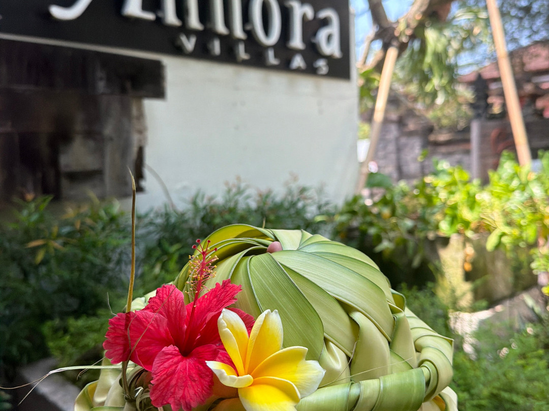Annora Villas Seminyak主图