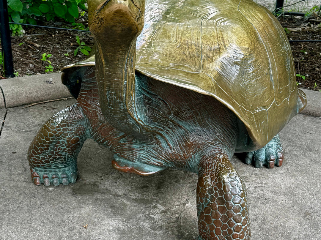 Fort Wayne Zoo-韦恩堡必去景点