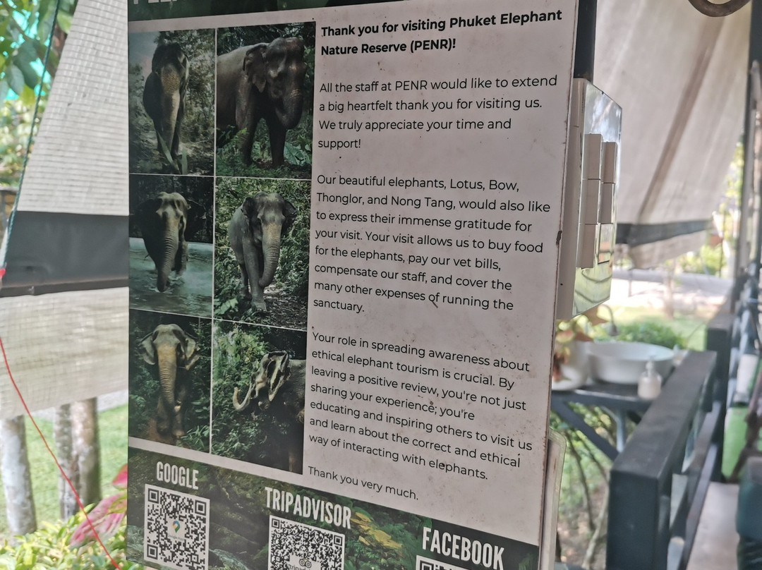 Phuket Elephant Nature Reserve-他朗必去景点