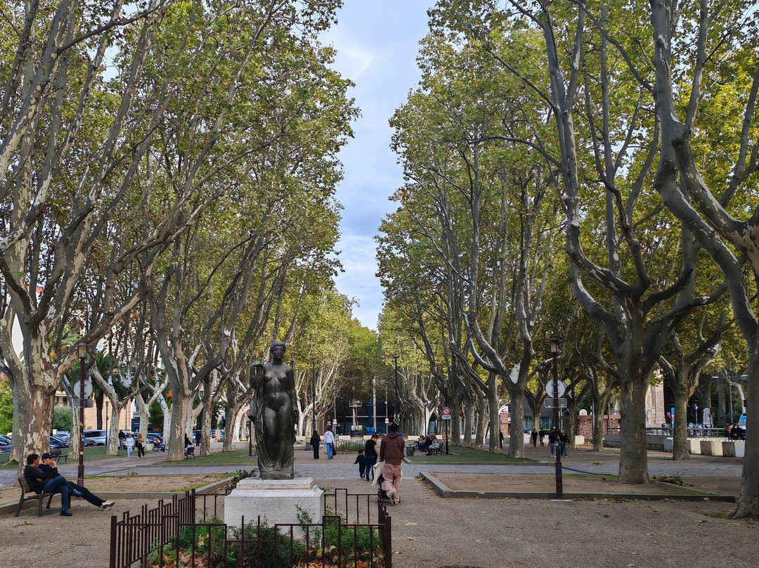 Promenade des Platanes-佩皮尼昂必去景点
