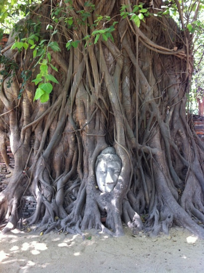 Wat Mahathat景点图片