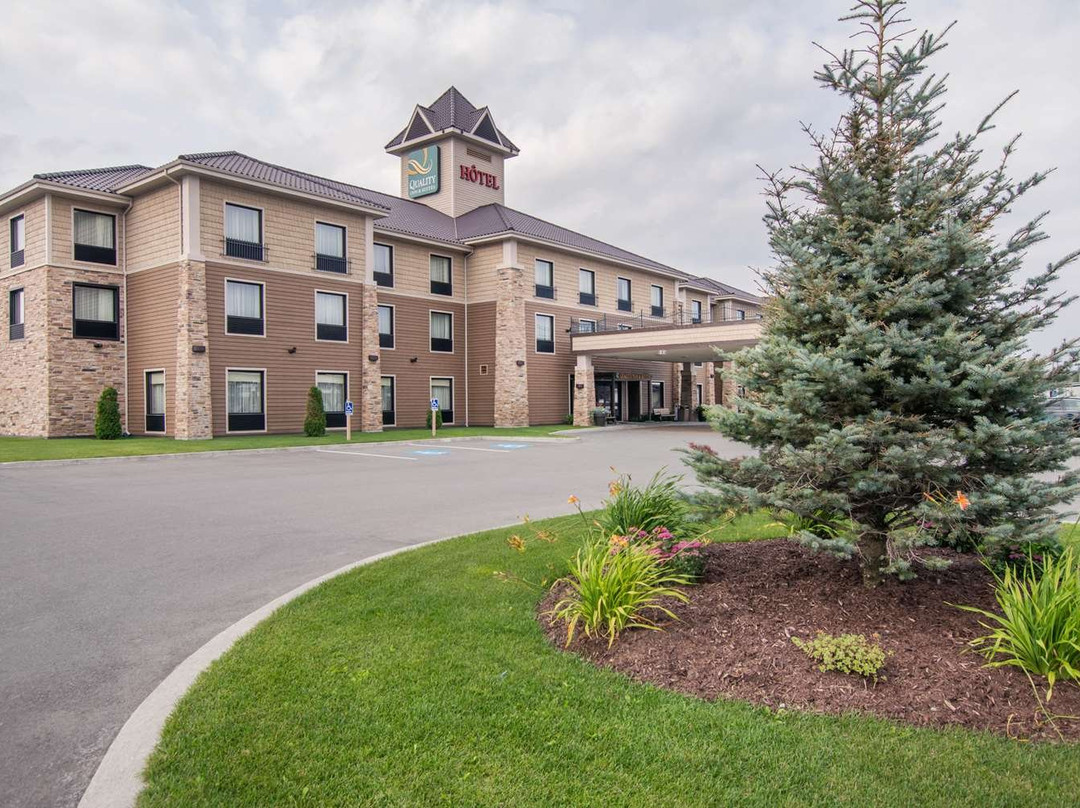 Quality Inn & Suites主图