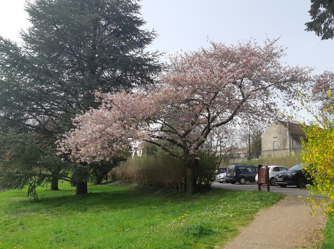 Parc Arboretum景点图片