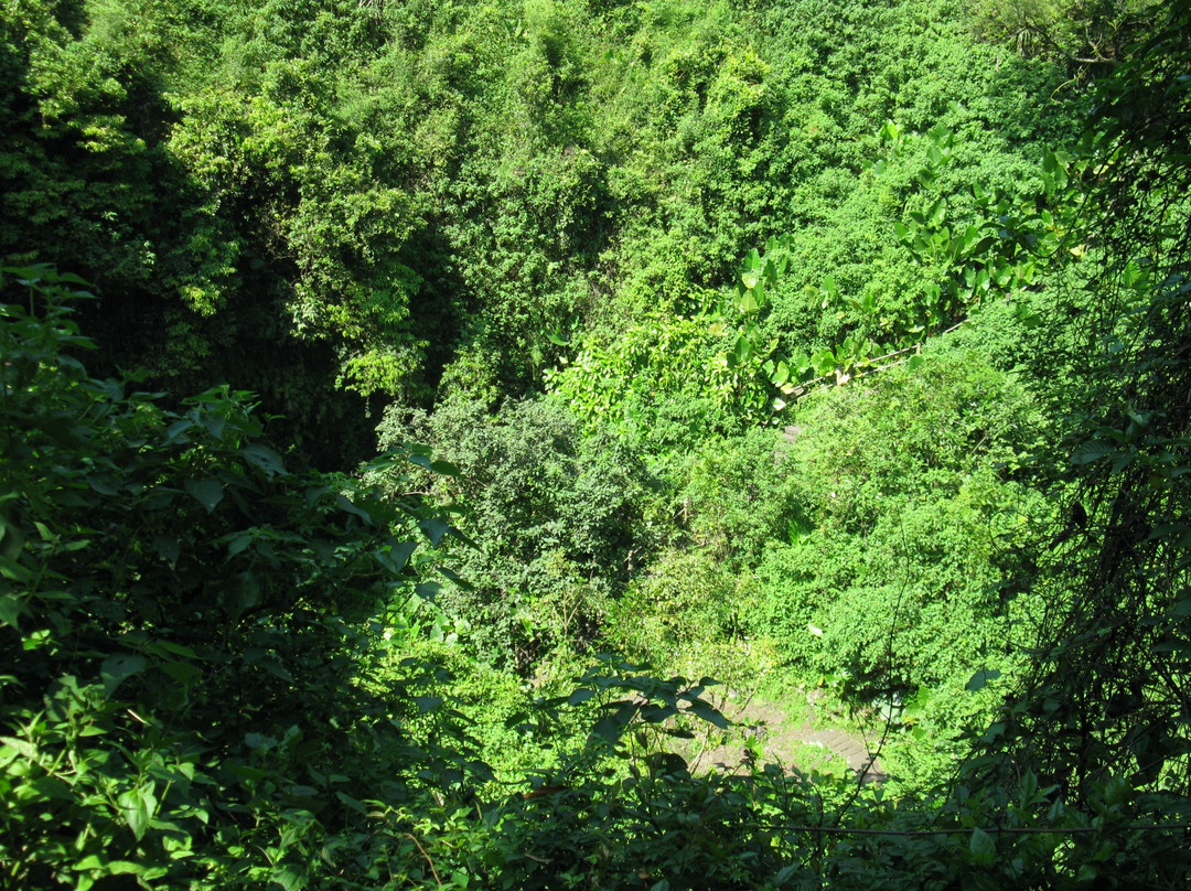 火山口森林公园景点图片