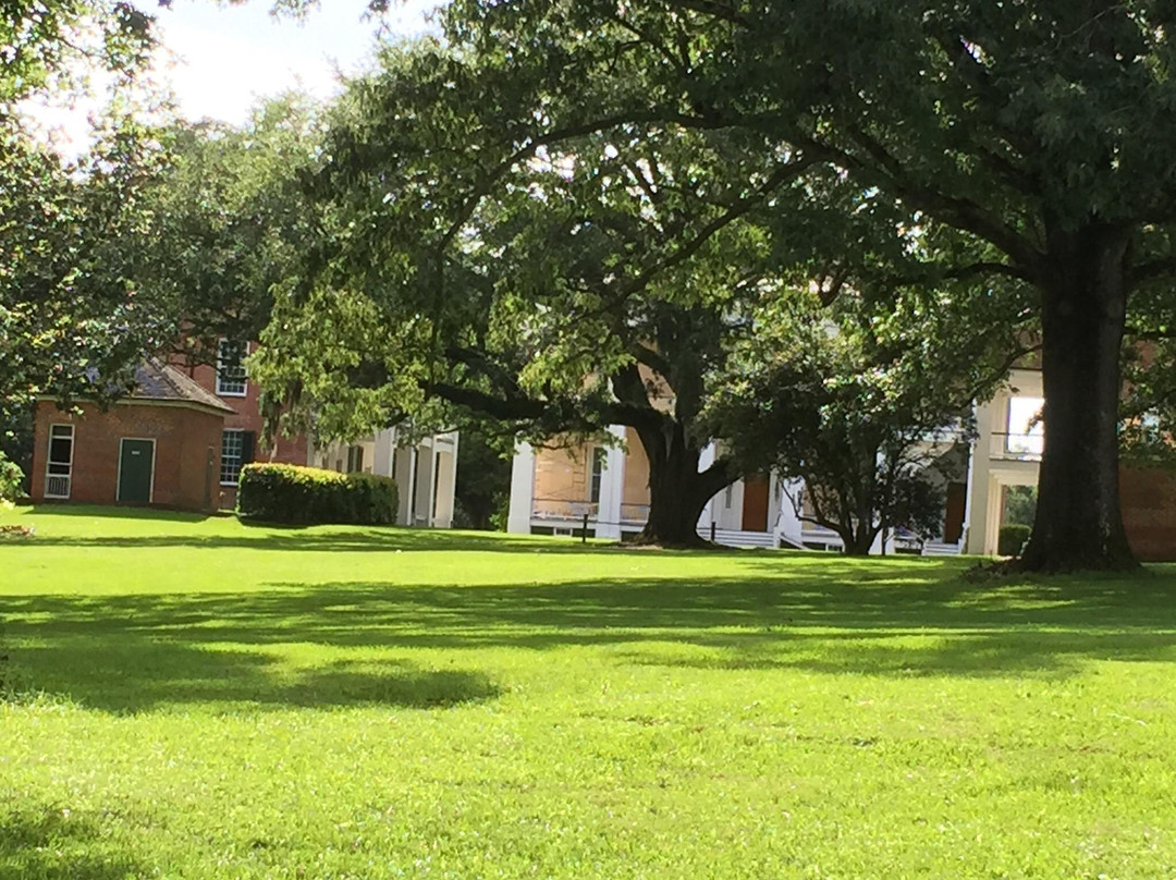 Natchez National Historical Park景点图片