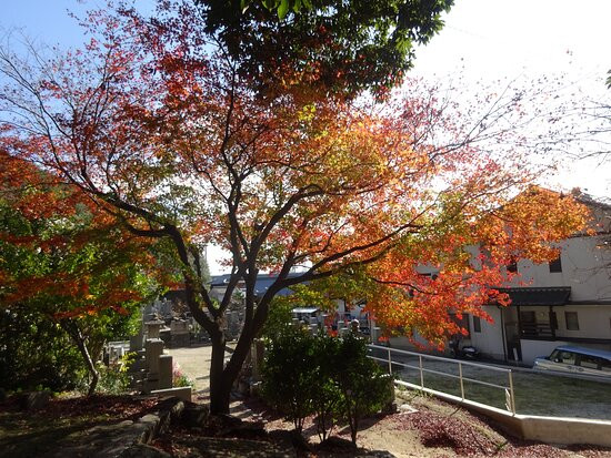 Kairyu-ji Temple-尾道市必去景点