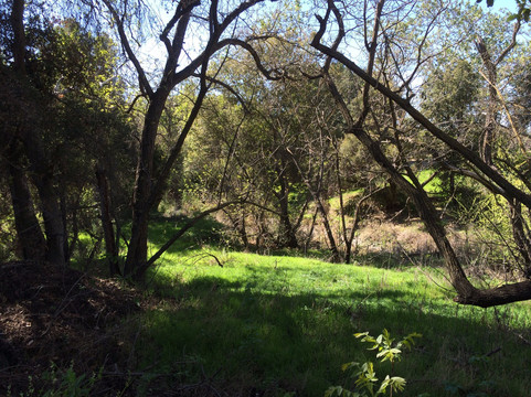 Coyote Creek Parkway Path-圣何塞必去景点