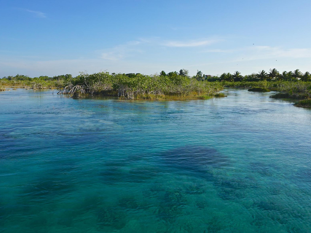 Lago Bacalar (Lake of the Seven Colors)景点图片