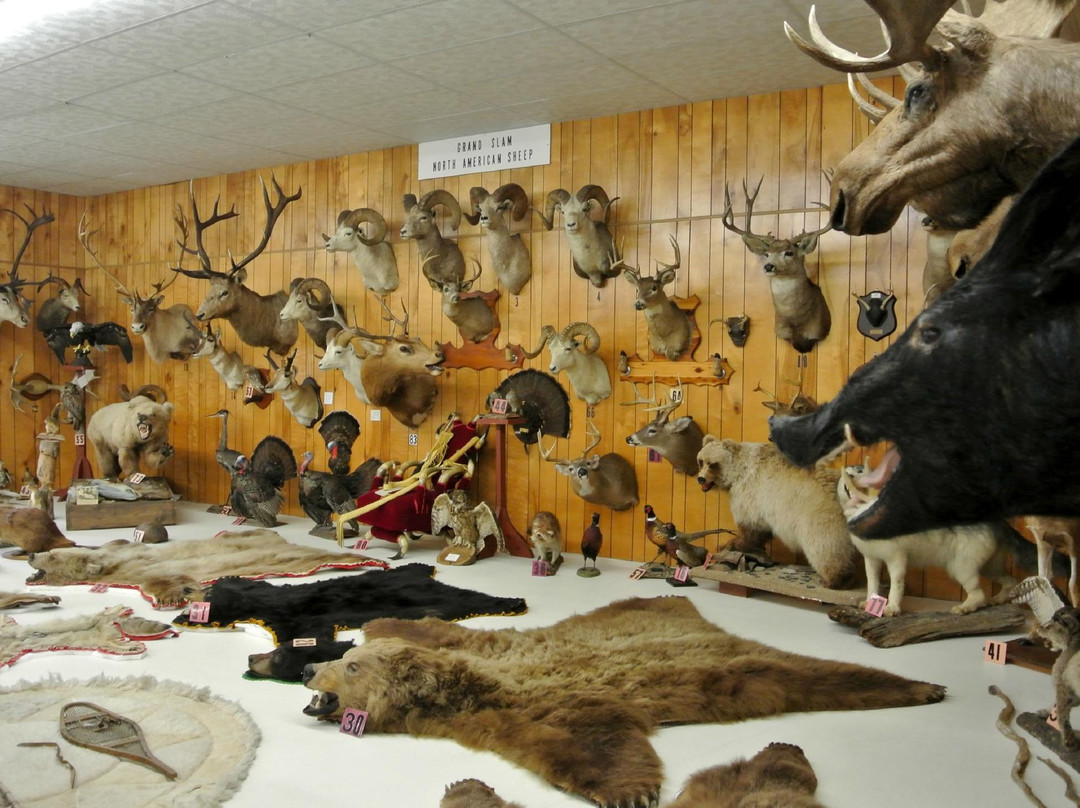 Jeff Matthews Memorial Museum景点图片