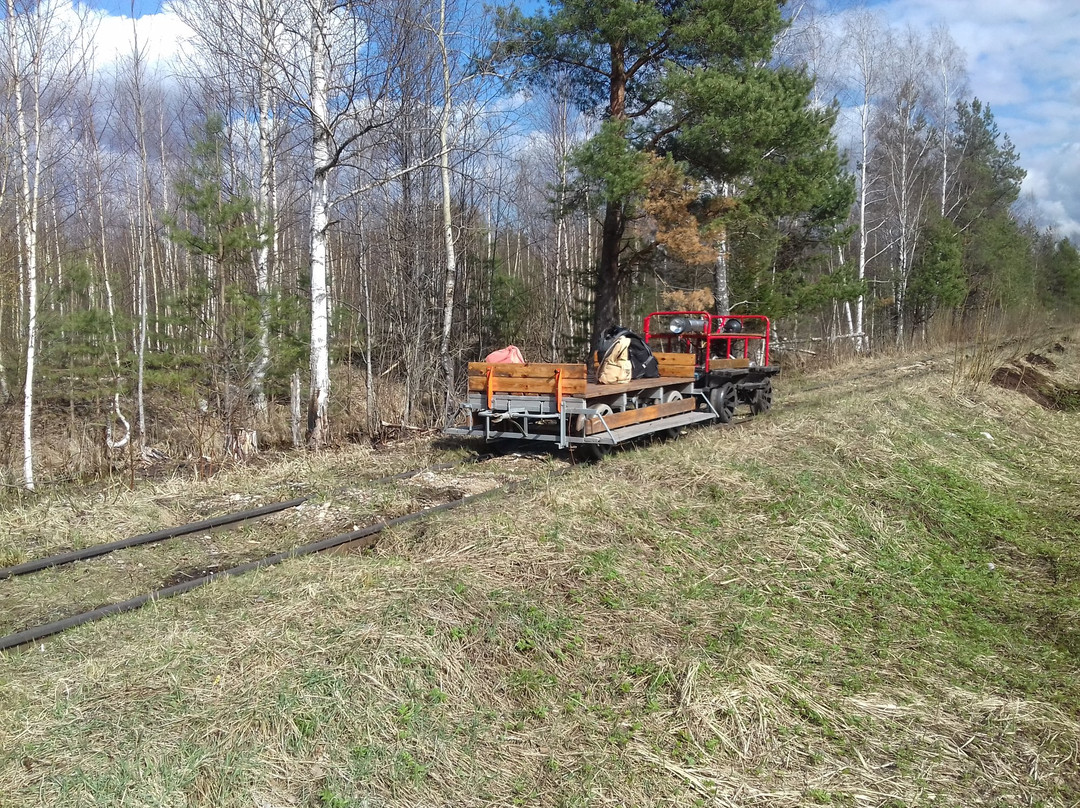 Museum of Tesovskaya Narrow-Gauge Railway景点图片