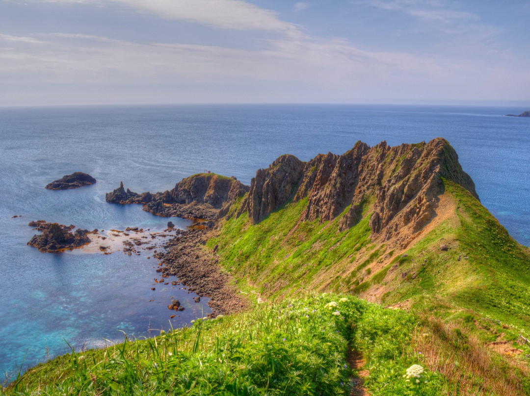 Rebun Island景点图片