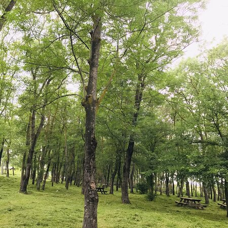 Sarigazel Tabiat Parki-萨姆森必去景点