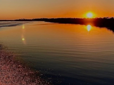 Tybee Island Marina-泰碧岛必去景点