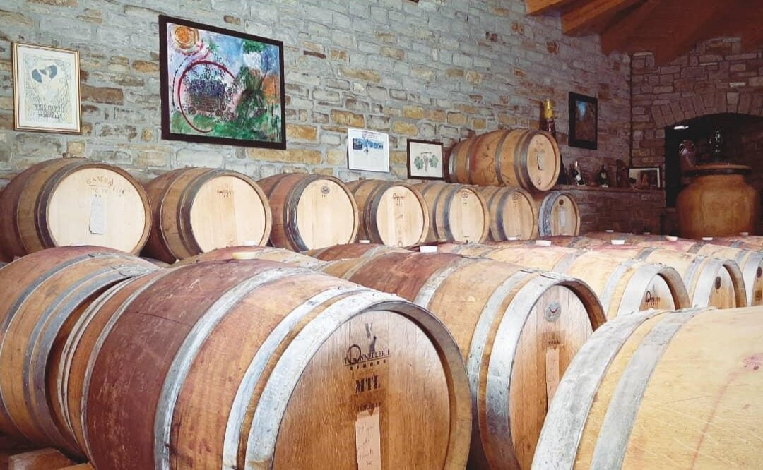 Azienda Agricola Mario Torelli景点图片