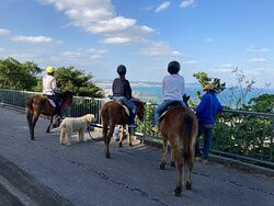 Umikaze Horse Farm景点图片
