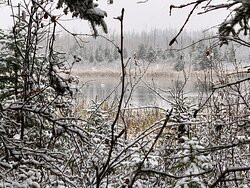 凯瑞伍德自然中心-红鹿市必去景点