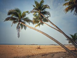 Thottada Beach House主图