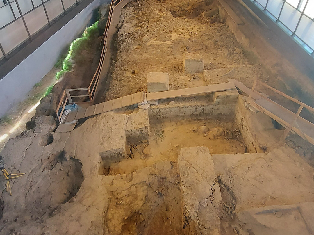 Sito Archeologico la Pineta Isernia景点图片