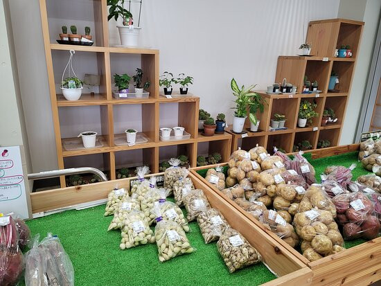 Umesono Mumenoeki Shizen Kyuyoson Center-越生町必去景点