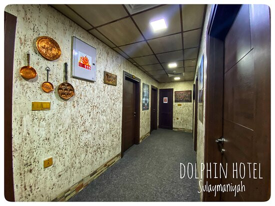 Dolphin Hotel & Hostel Sulaymaniyah主图