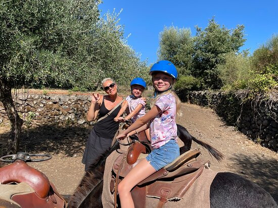 Etna Donkey Trekking景点图片