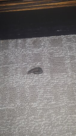 Cape Cod Family Resort主图