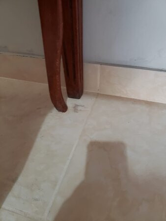 DM Hoteles Mossone Ica主图