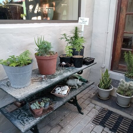 Sir Lambert's Guesthouse主图