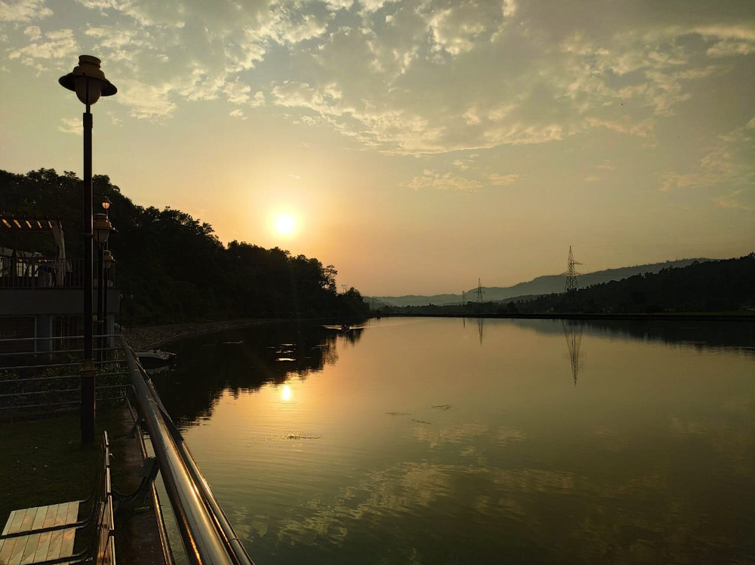 Jay Clarks Exotica主图