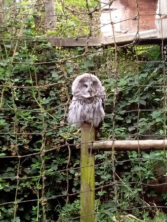 World of Owls景点图片
