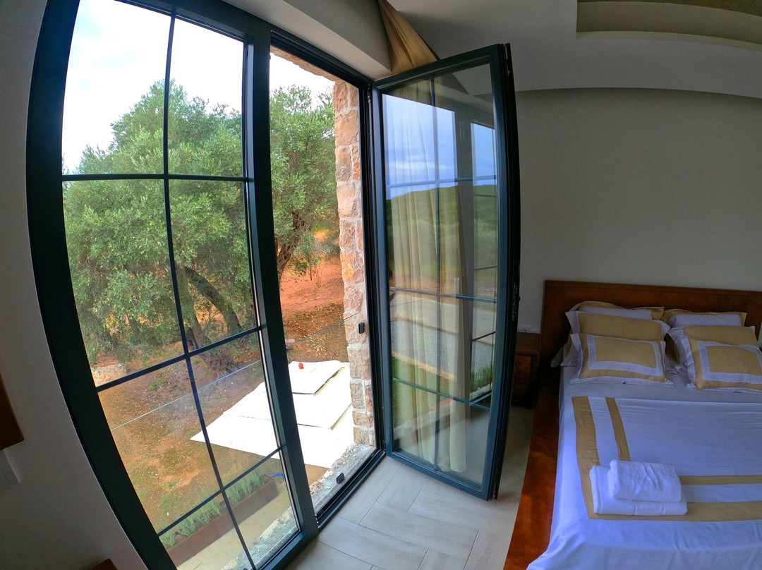 Mashtra Olive House