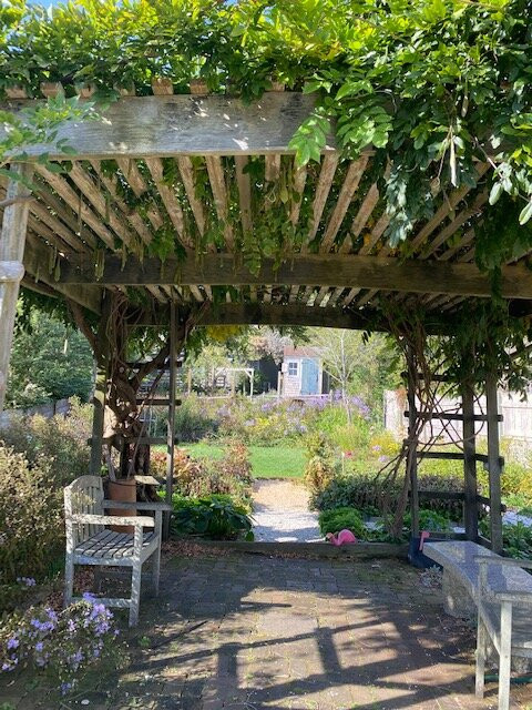 Suzanne's Garden景点图片