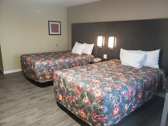 Envi Boutique Hotel主图