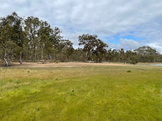 Barkers Creek Reservoir-Harcourt必去景点