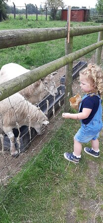 Brockswood Animal Sanctuary景点图片