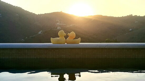 Casa Los Dos bed & breakfast主图