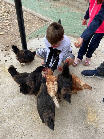 Posada SPA & Granja La Tejera de Lozoya主图